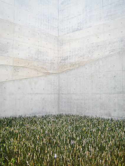 tadao ando chichu