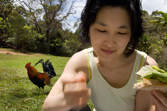 Mari picnicking on a sandwich while a rooster prowls nearby.